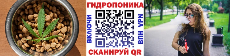 Canna-Cookies марихуана  как найти   Анадырь 