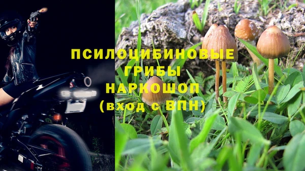альфа пвп Надым