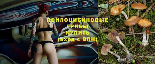 гашик Алексеевка